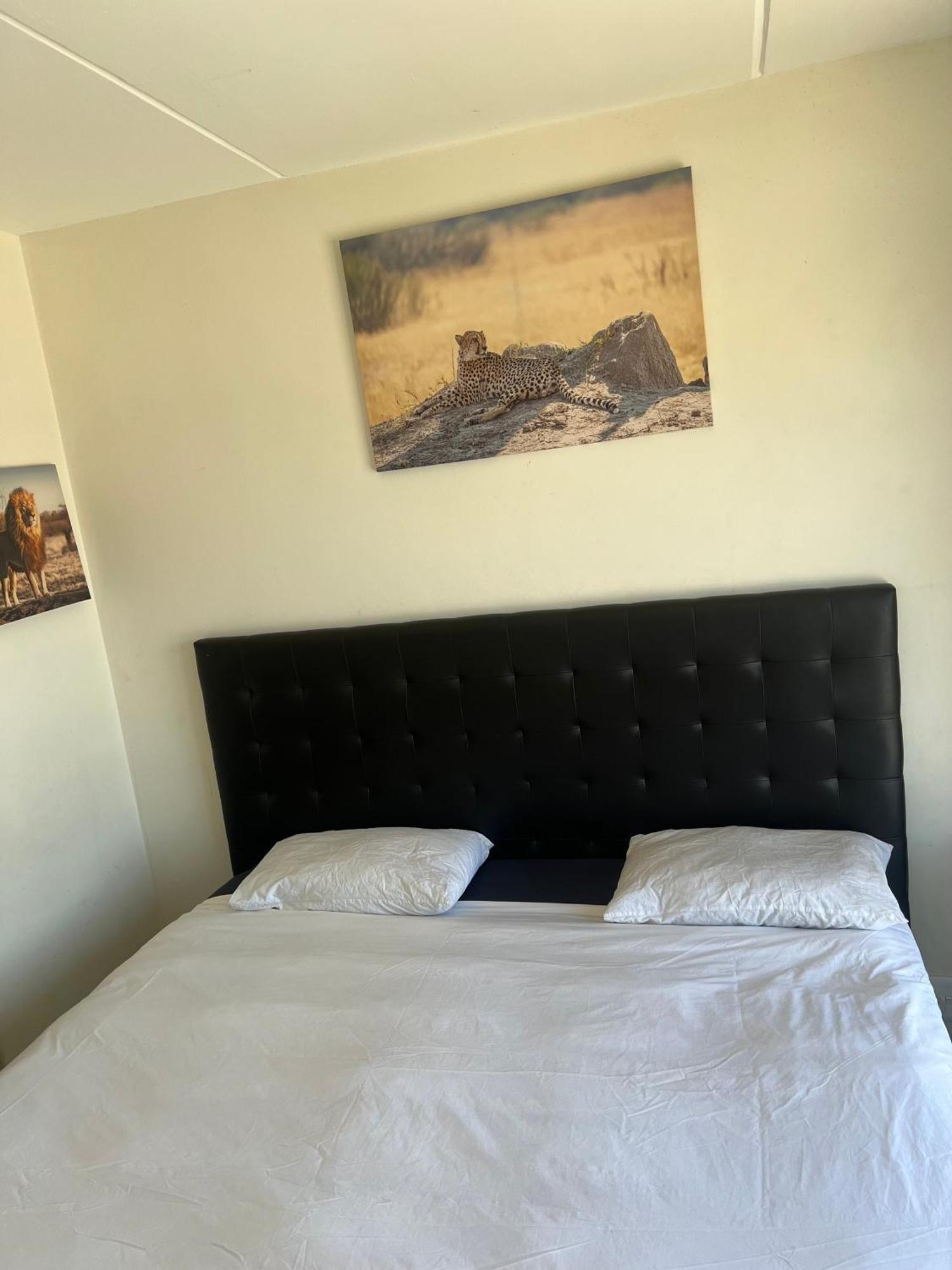 Sunny Escape Rentals Parklands エクステリア 写真